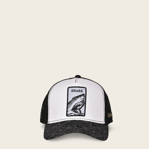 GORRA CUADRA CON DISEÑO DE TIBURON