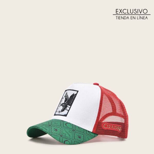 GORRA CUADRA CON DISEÑO DE AGUILA - Image 4
